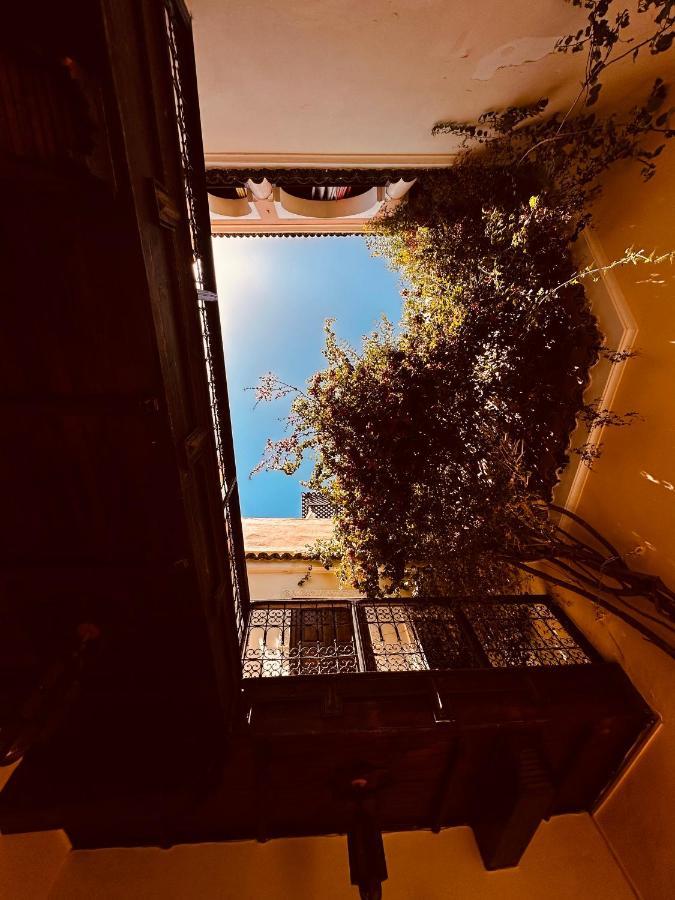 Riad Msholidays Bassin Privatise Marrakech Marrakesh Ngoại thất bức ảnh