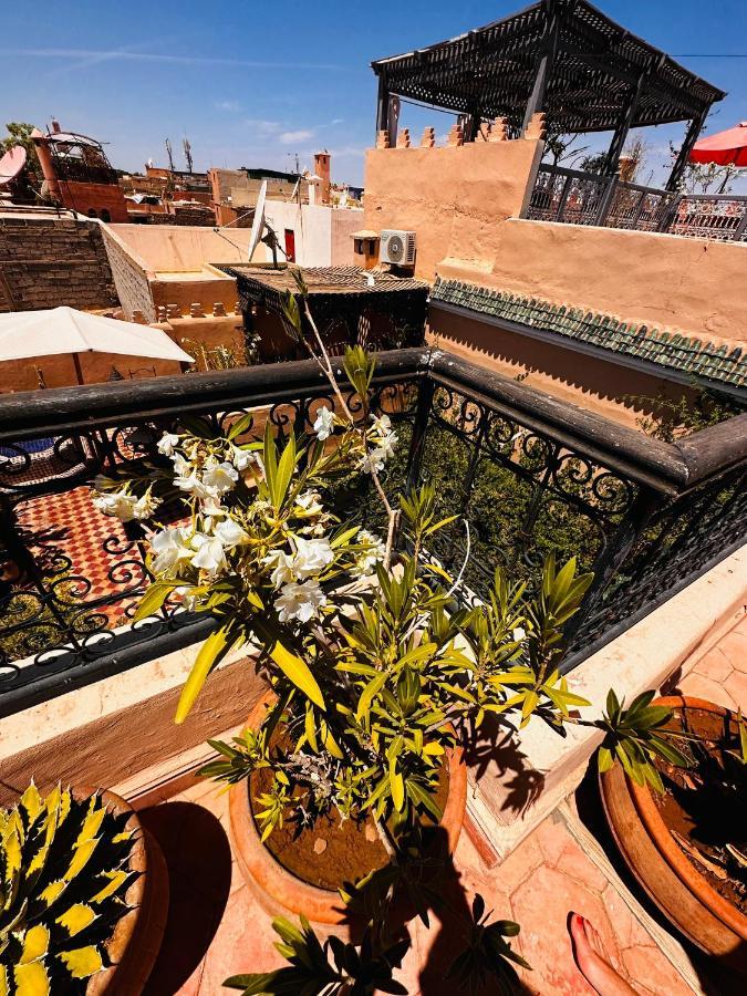 Riad Msholidays Bassin Privatise Marrakech Marrakesh Ngoại thất bức ảnh